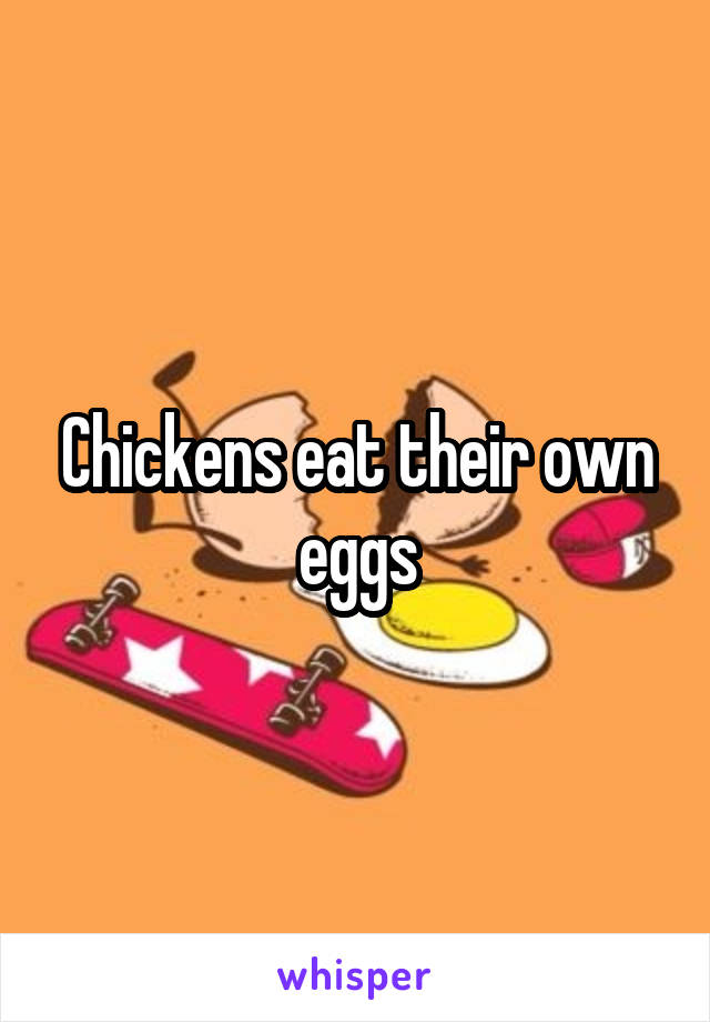 Chickens eat their own eggs