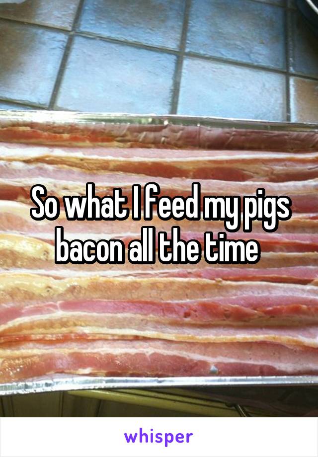 So what I feed my pigs bacon all the time 