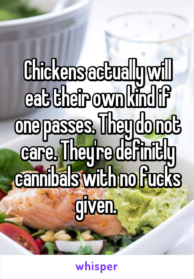 Chickens actually will eat their own kind if one passes. They do not care. They're definitly cannibals with no fucks given. 