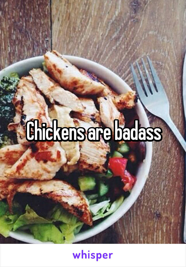 Chickens are badass