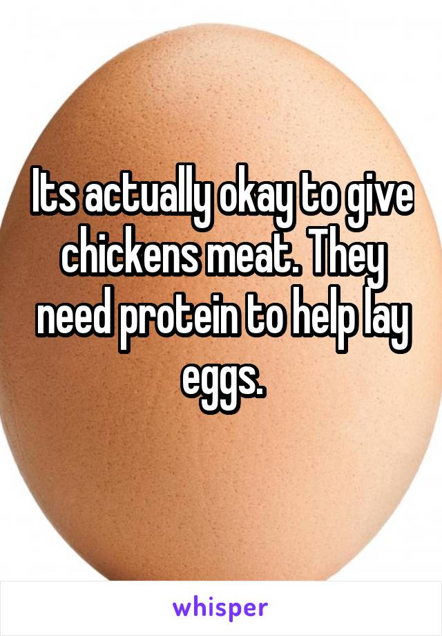 Its actually okay to give chickens meat. They need protein to help lay eggs.
