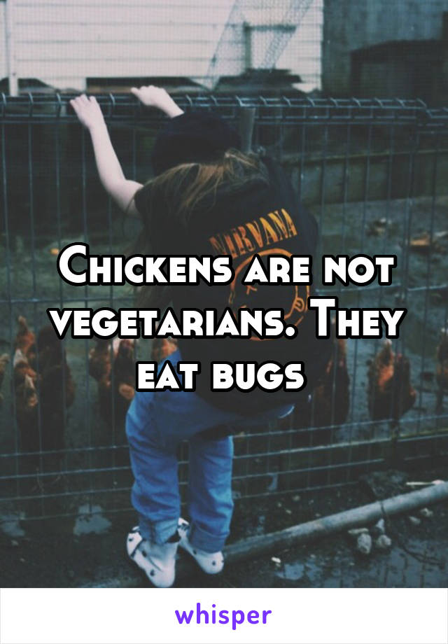 Chickens are not vegetarians. They eat bugs 