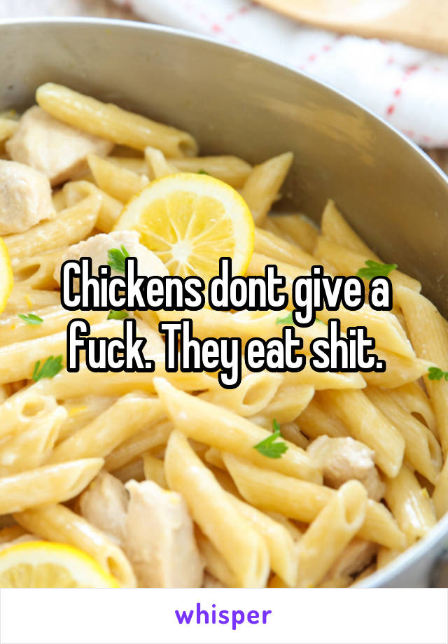 Chickens dont give a fuck. They eat shit.