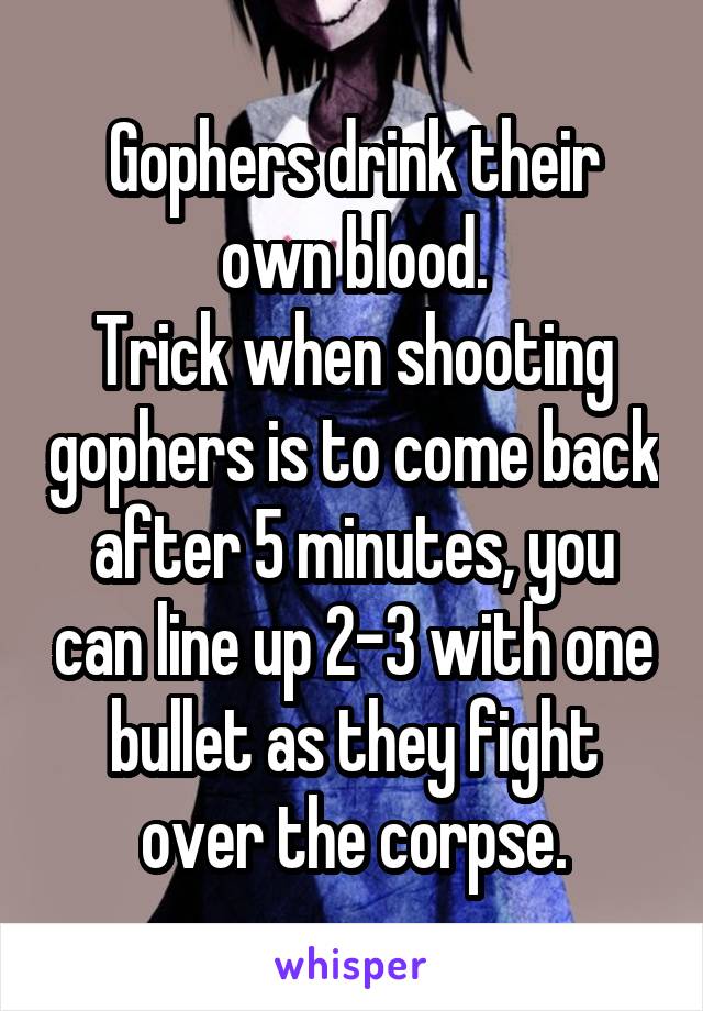 Gophers drink their own blood.
Trick when shooting gophers is to come back after 5 minutes, you can line up 2-3 with one bullet as they fight over the corpse.