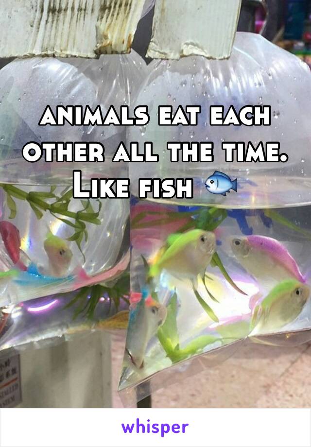 animals eat each other all the time. Like fish 🐟 