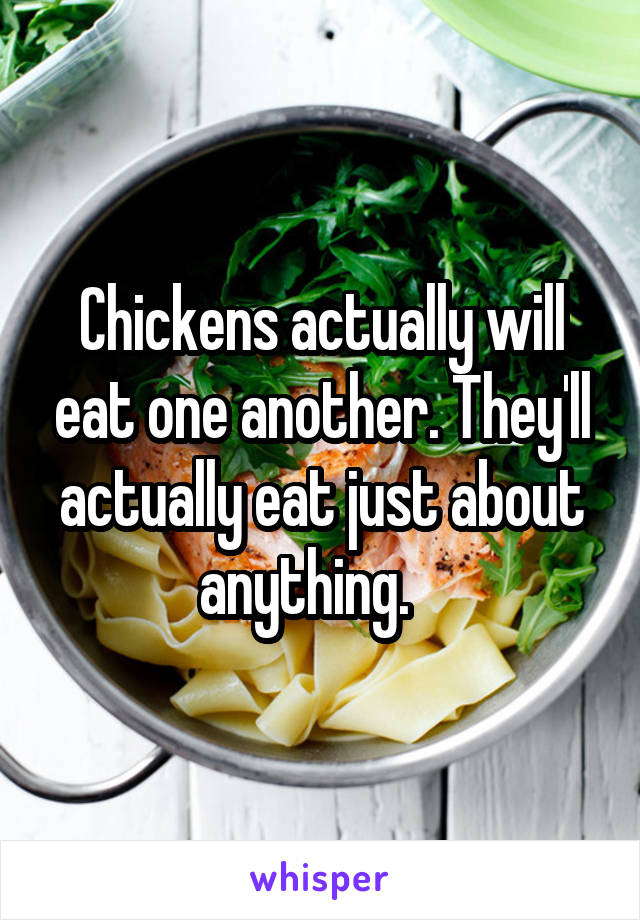 Chickens actually will eat one another. They'll actually eat just about anything.   