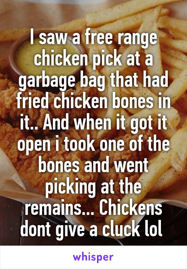 I saw a free range chicken pick at a garbage bag that had fried chicken bones in it.. And when it got it open i took one of the bones and went picking at the remains... Chickens dont give a cluck lol 