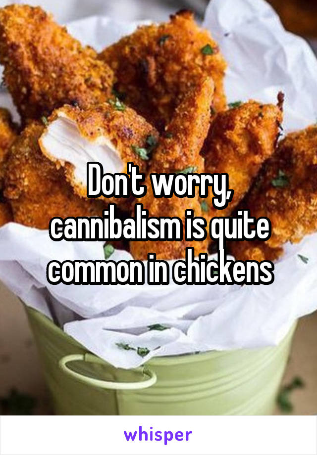 Don't worry, cannibalism is quite common in chickens