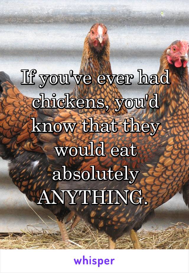 If you've ever had chickens, you'd know that they would eat absolutely ANYTHING. 