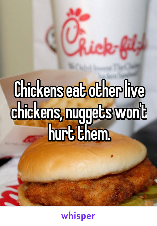 Chickens eat other live chickens, nuggets won't hurt them.