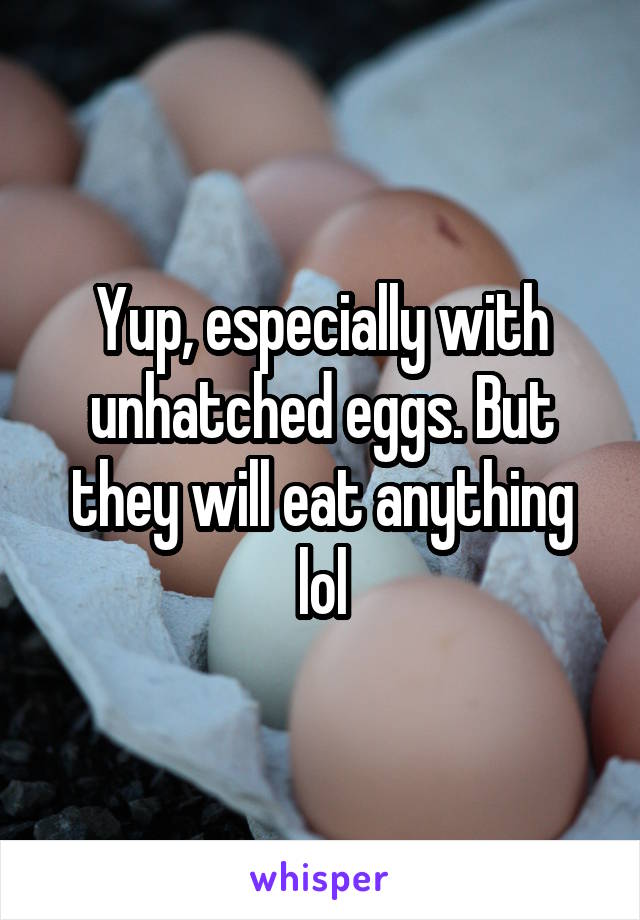 Yup, especially with unhatched eggs. But they will eat anything lol