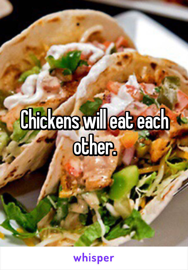 Chickens will eat each other.