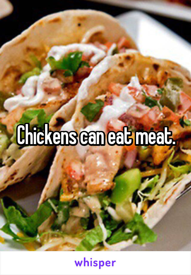 Chickens can eat meat.