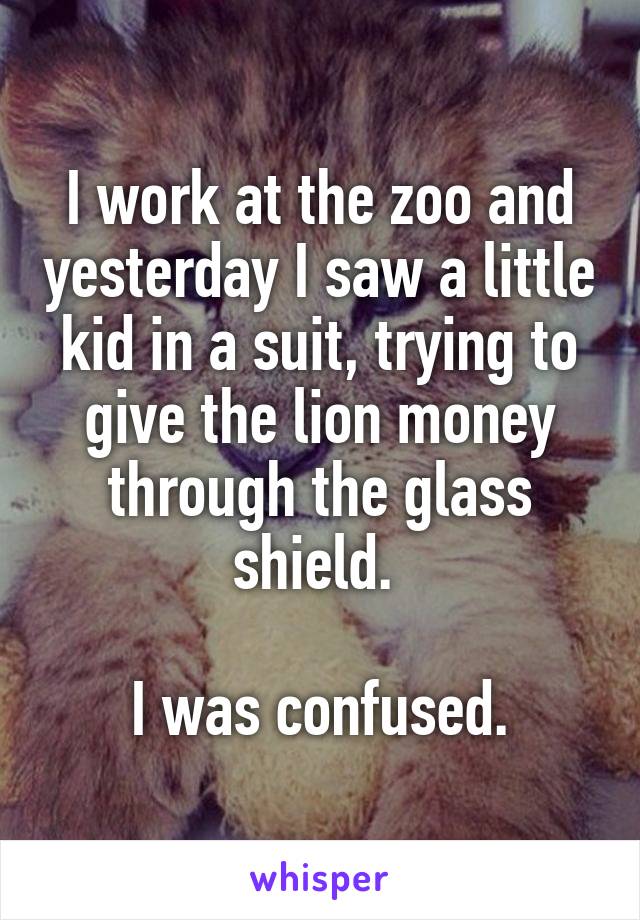I work at the zoo and yesterday I saw a little kid in a suit, trying to give the lion money through the glass shield. 

I was confused.
