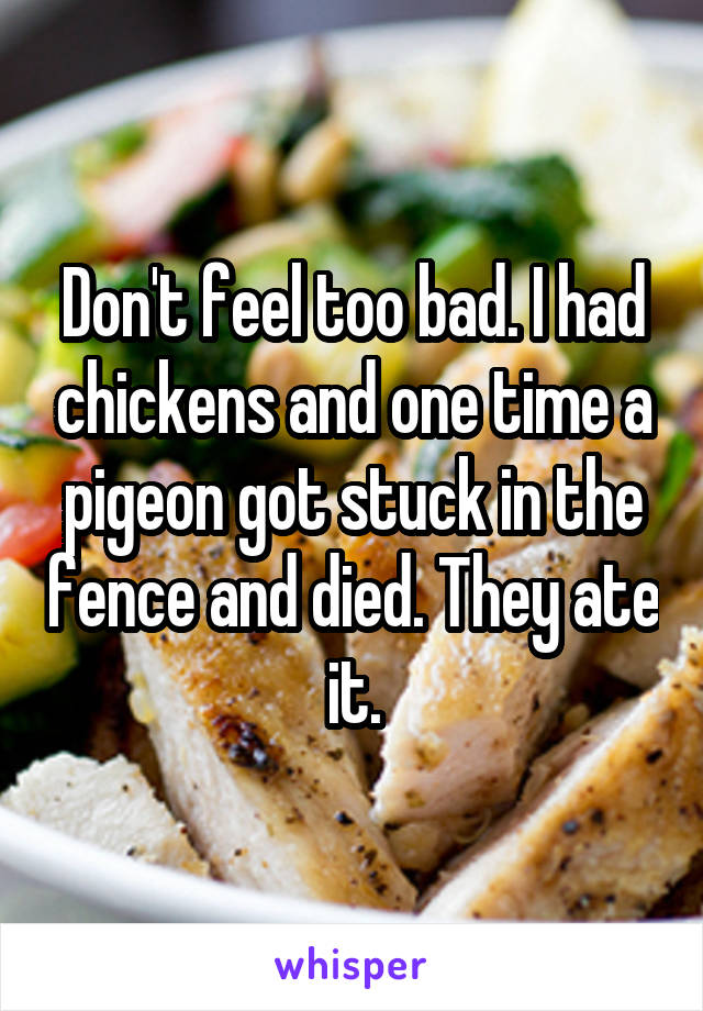 Don't feel too bad. I had chickens and one time a pigeon got stuck in the fence and died. They ate it.