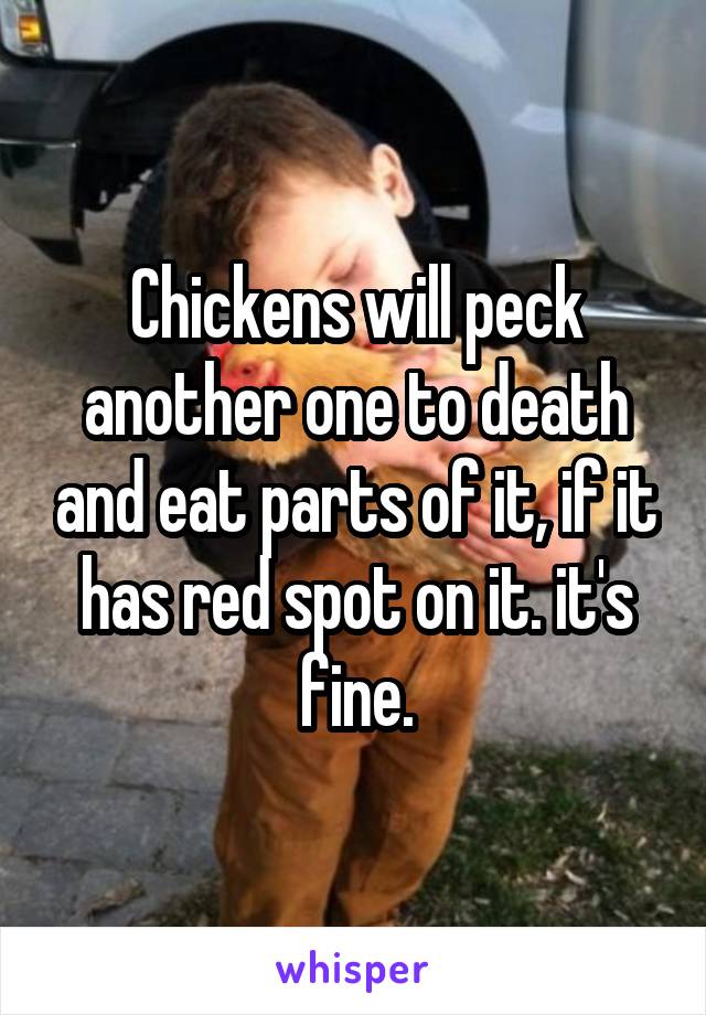 Chickens will peck another one to death and eat parts of it, if it has red spot on it. it's fine.