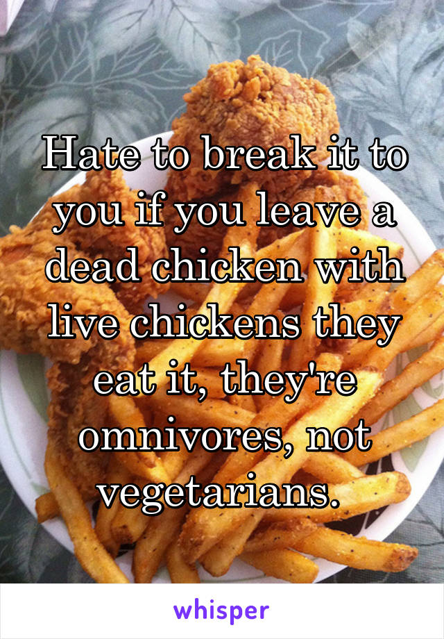 Hate to break it to you if you leave a dead chicken with live chickens they eat it, they're omnivores, not vegetarians. 