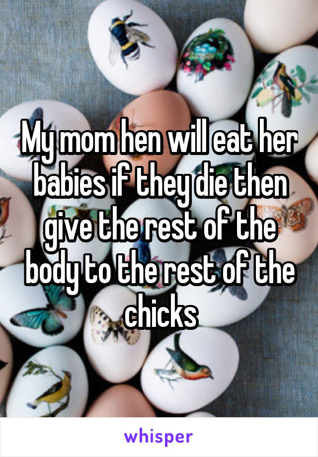 My mom hen will eat her babies if they die then give the rest of the body to the rest of the chicks