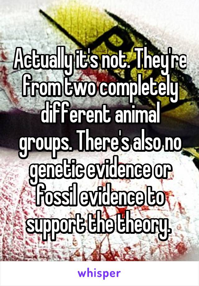 Actually it's not. They're from two completely different animal groups. There's also no genetic evidence or fossil evidence to support the theory. 