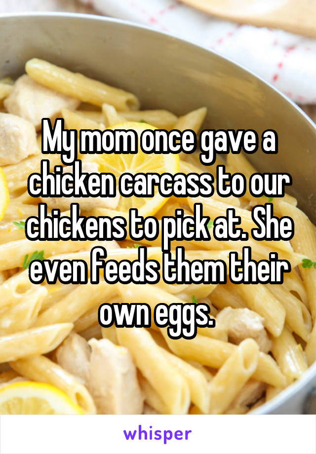 My mom once gave a chicken carcass to our chickens to pick at. She even feeds them their own eggs. 