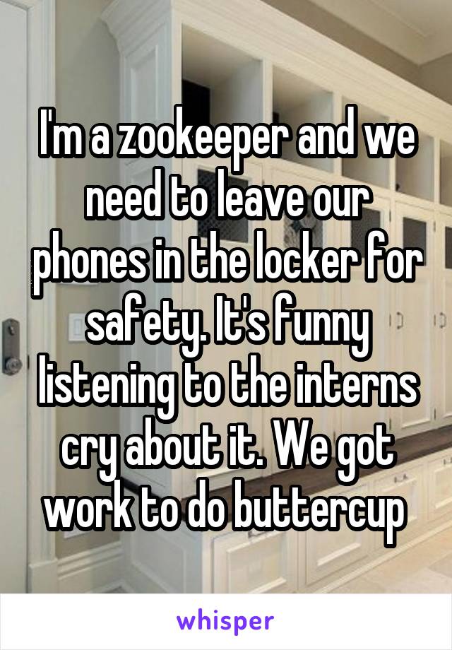 I'm a zookeeper and we need to leave our phones in the locker for safety. It's funny listening to the interns cry about it. We got work to do buttercup 