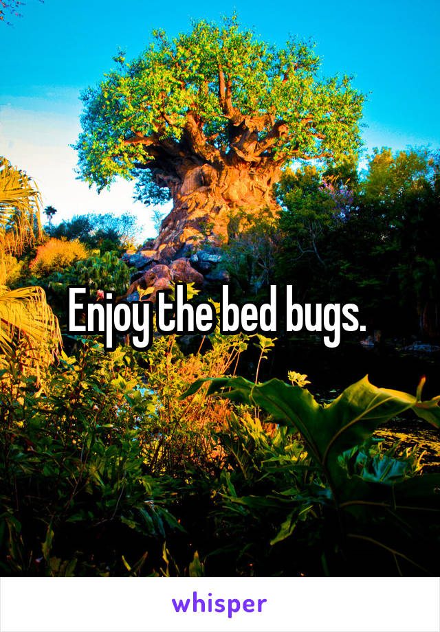 Enjoy the bed bugs. 