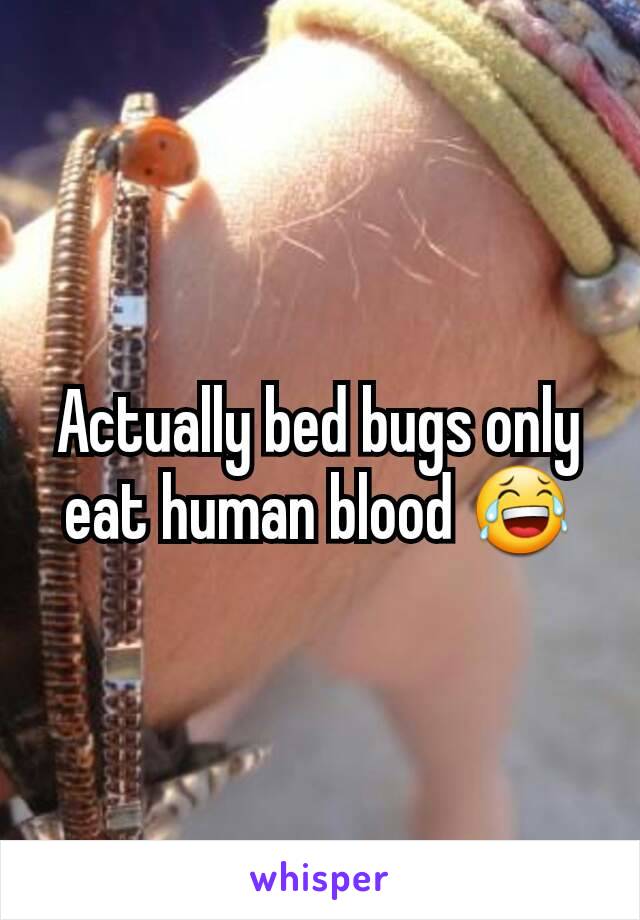 Actually bed bugs only eat human blood 😂