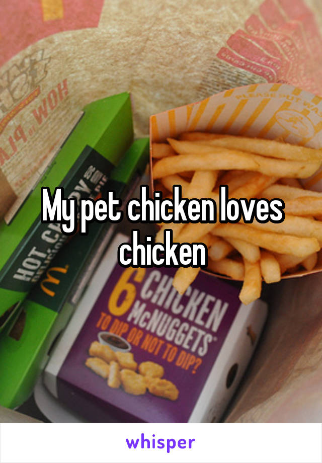 My pet chicken loves chicken