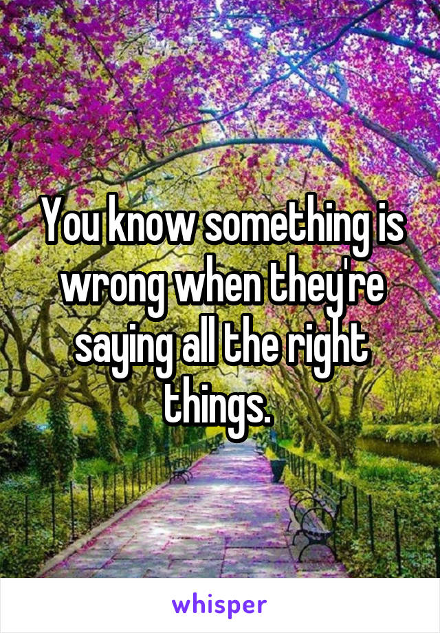 You know something is wrong when they're saying all the right things. 