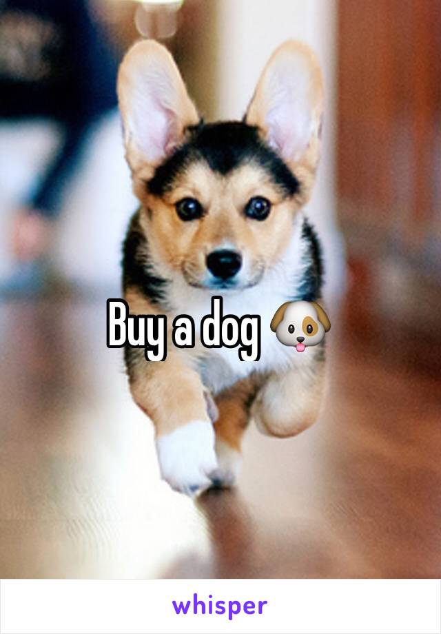 Buy a dog 🐶