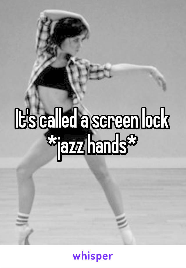 It's called a screen lock 
*jazz hands* 