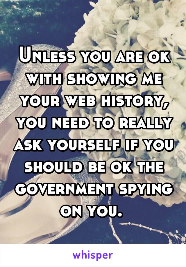 Unless you are ok with showing me your web history, you need to really ask yourself if you should be ok the government spying on you. 