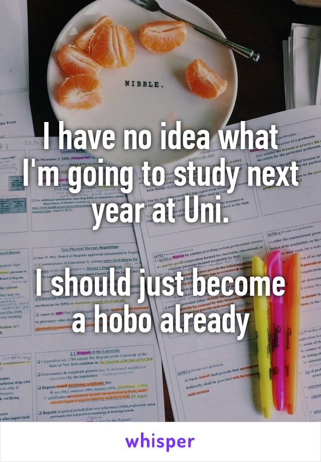 I have no idea what I'm going to study next year at Uni.

I should just become a hobo already