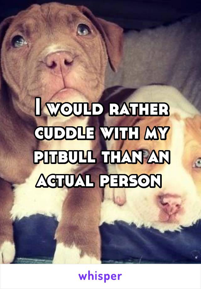 I would rather cuddle with my pitbull than an actual person 