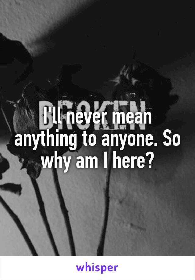 I'll never mean anything to anyone. So why am I here?