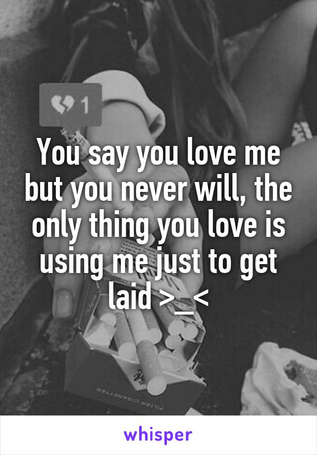 You say you love me but you never will, the only thing you love is using me just to get laid >_<