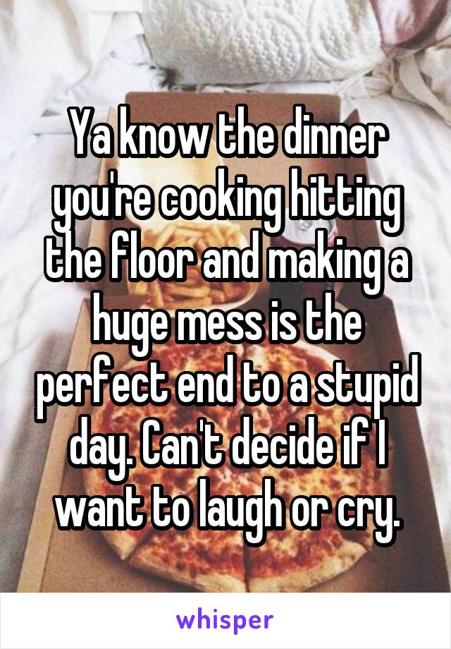 Ya know the dinner you're cooking hitting the floor and making a huge mess is the perfect end to a stupid day. Can't decide if I want to laugh or cry.