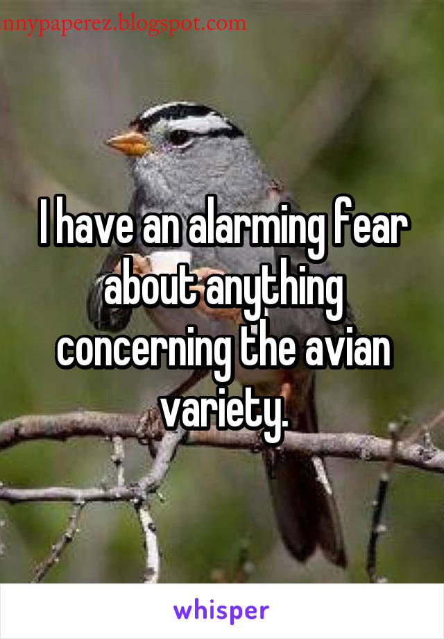 I have an alarming fear about anything concerning the avian variety.