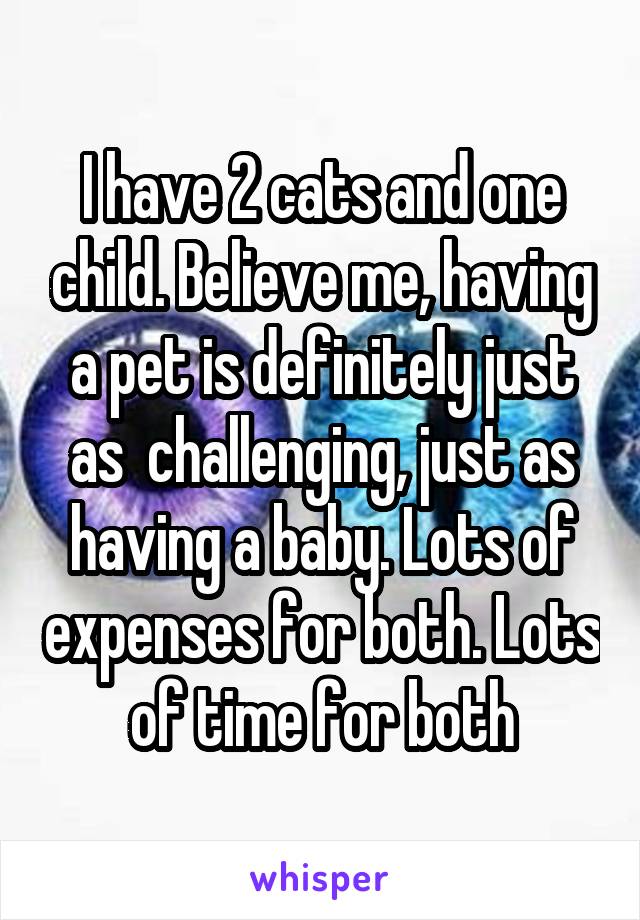 I have 2 cats and one child. Believe me, having a pet is definitely just as  challenging, just as having a baby. Lots of expenses for both. Lots of time for both