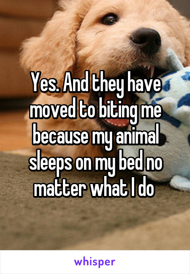 Yes. And they have moved to biting me because my animal sleeps on my bed no matter what I do 