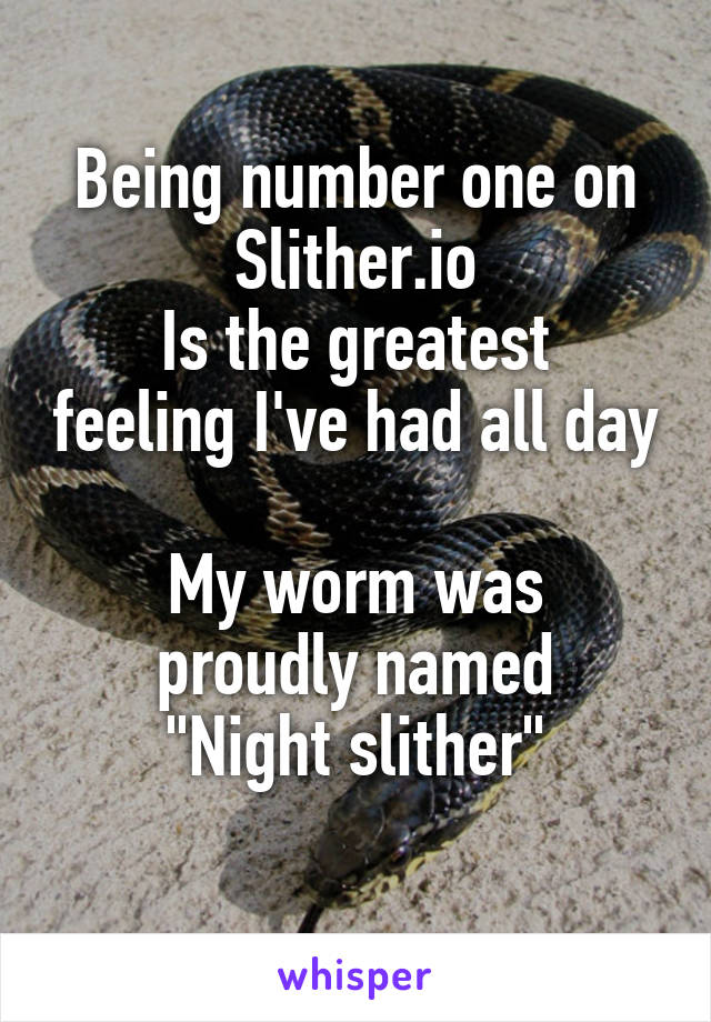 Being number one on Slither.io
Is the greatest feeling I've had all day 
My worm was proudly named
"Night slither"
