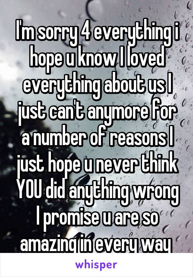 I'm sorry 4 everything i hope u know I loved everything about us I just can't anymore for a number of reasons I just hope u never think YOU did anything wrong I promise u are so amazing in every way 