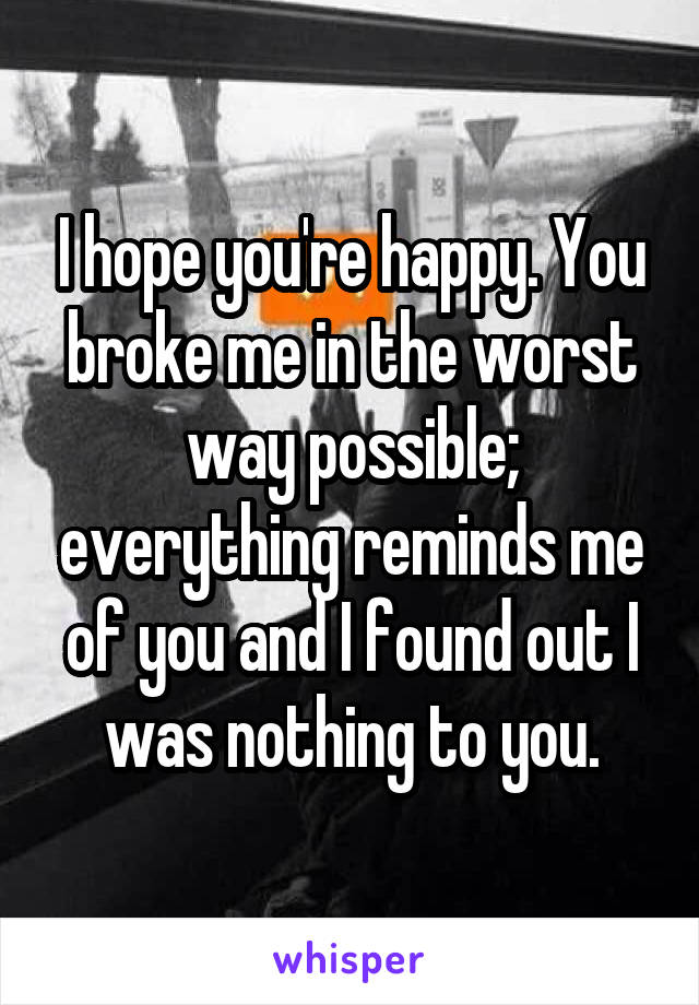 I hope you're happy. You broke me in the worst way possible; everything reminds me of you and I found out I was nothing to you.