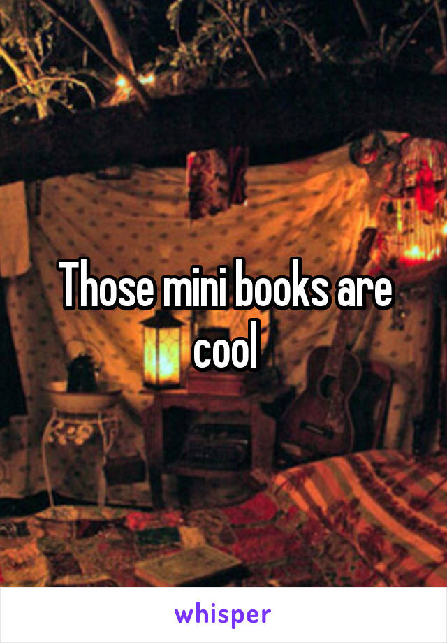 Those mini books are cool