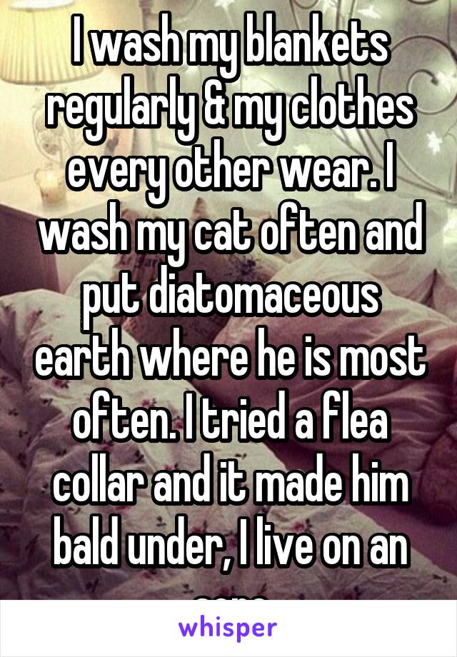 I wash my blankets regularly & my clothes every other wear. I wash my cat often and put diatomaceous earth where he is most often. I tried a flea collar and it made him bald under, I live on an acre