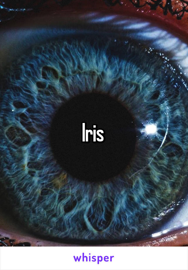 Iris 