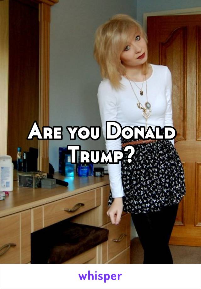 Are you Donald Trump?