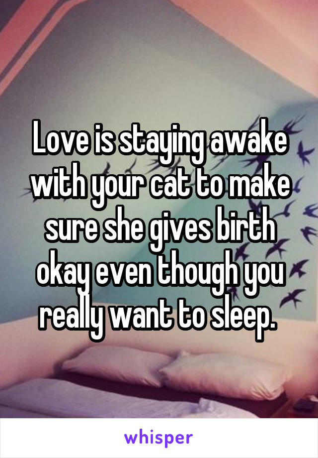 Love is staying awake with your cat to make sure she gives birth okay even though you really want to sleep. 