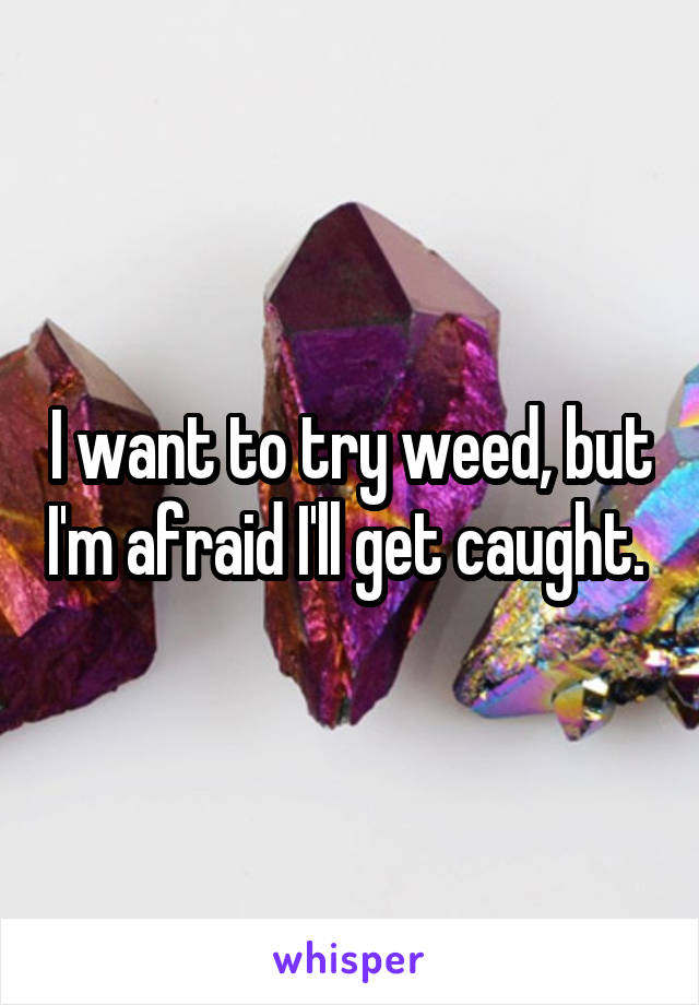 I want to try weed, but I'm afraid I'll get caught. 