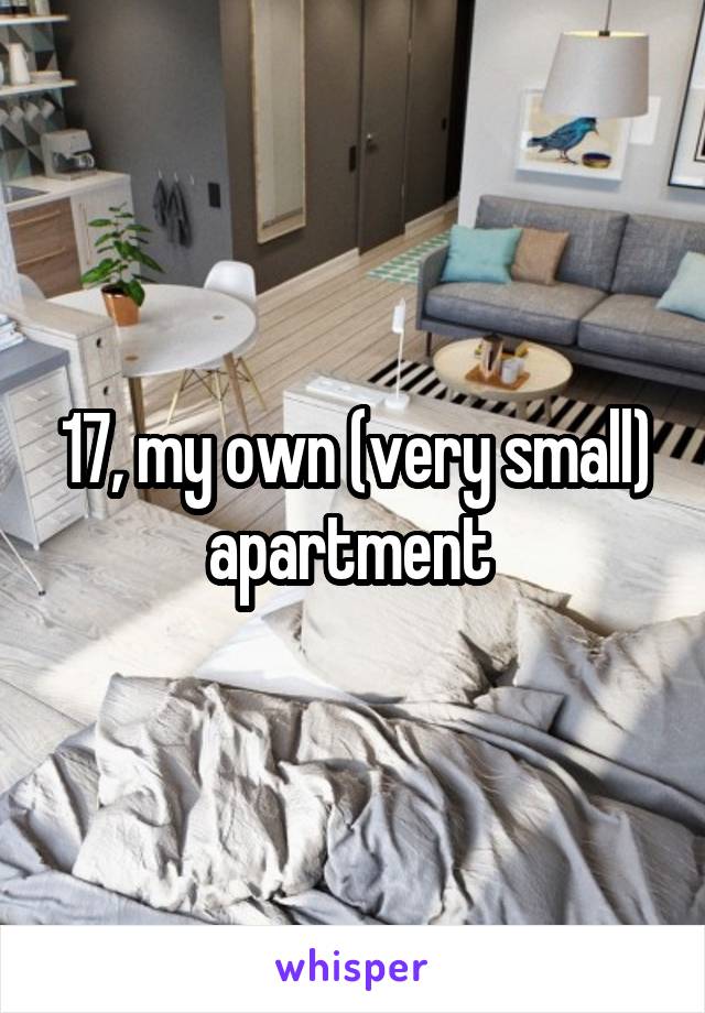 17, my own (very small) apartment 